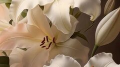 Neserine 92i's hot Picture