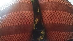 Domme Top's hot Picture