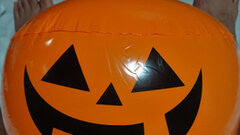 pumpkinseed1's hot Picture